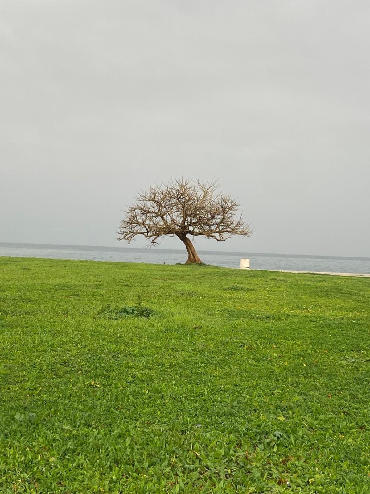 I Giardini Di Villa Giulia Palermo Exterior foto